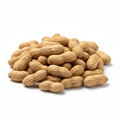 Raw Peanuts in Shell - Natural